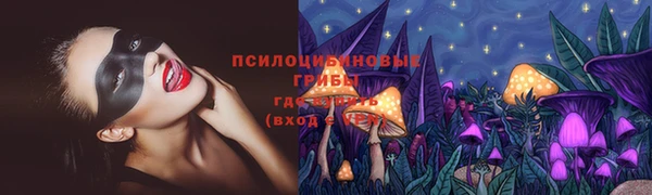 мет Аркадак