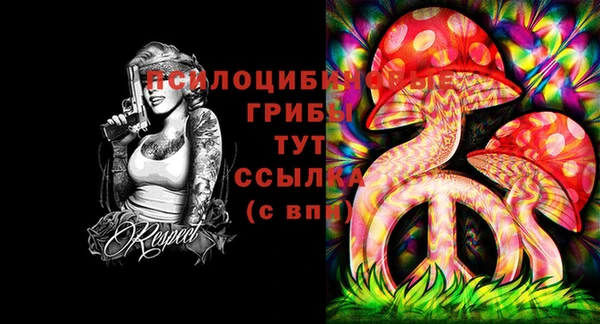 кокс Армянск