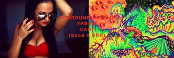 мет Аркадак