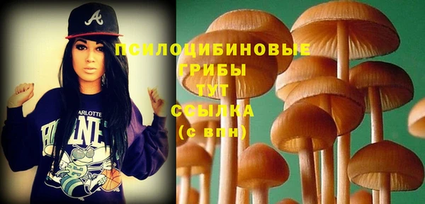 хмурый Бородино