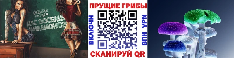 наркотики  мориарти формула  Галлюциногенные грибы Psilocybine cubensis  Верхняя Салда  кракен как войти 